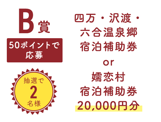 【B賞】50ポイントで応募 抽選で2名様 四万・沢渡・六合・温泉郷宿泊補助券 or 嬬恋村宿泊補助券 20,000円分