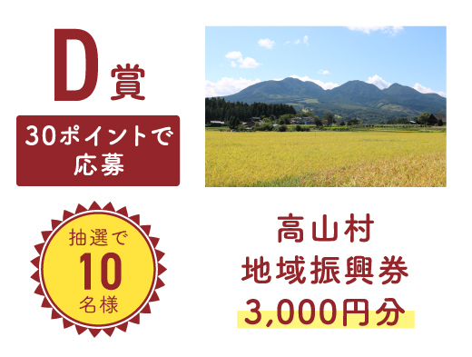 【D賞】30ポイントで応募 抽選で10名様 高山村地域振興券 3,000円分